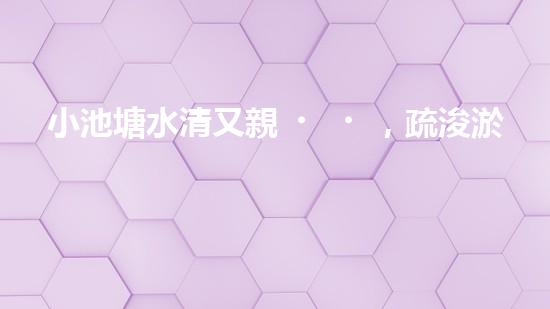 小池塘水清又親，疏浚淤泥通民心